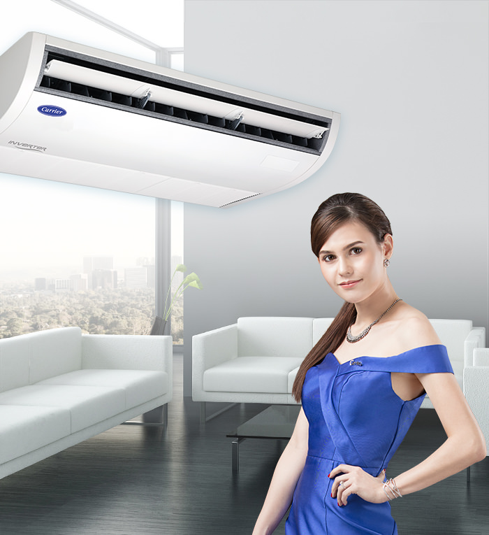 xpower_ceiling_mobile-2 xpower_ceiling_mobile-2